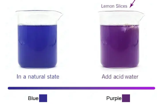 碟豆花.png